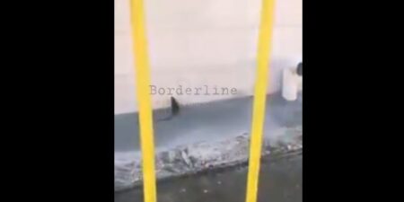 Borderline24.com